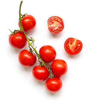 Cherry tomatoes on a vine